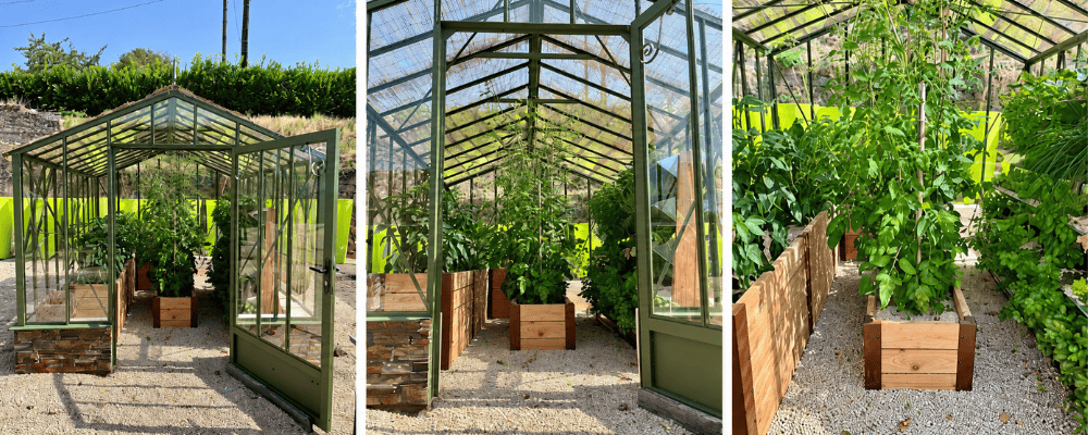 Trois vues d’une serre Classique LAMS vert olive de 2,75 × 3,80 m sur muret de 40 cm, avec des légumes cultivés en bacs en bois.